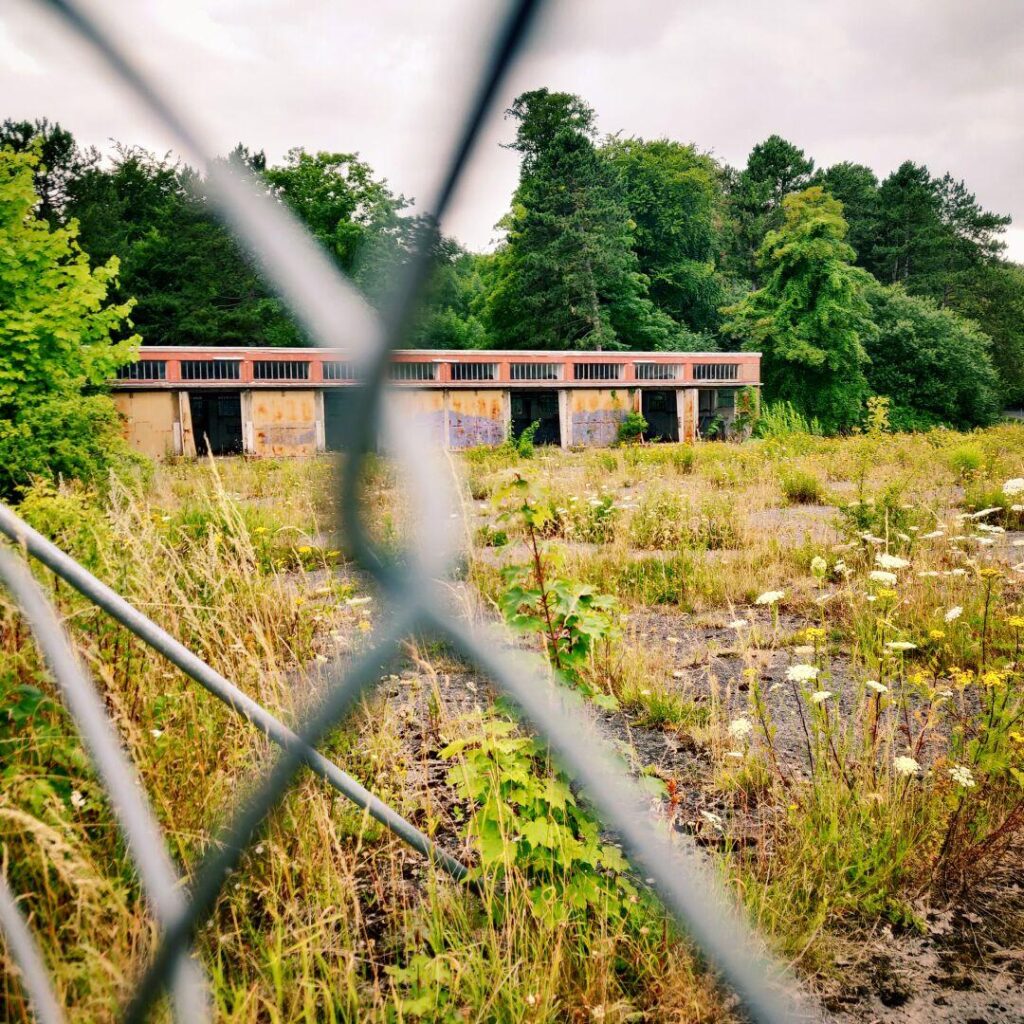 Foto vom 21. Juli 2021