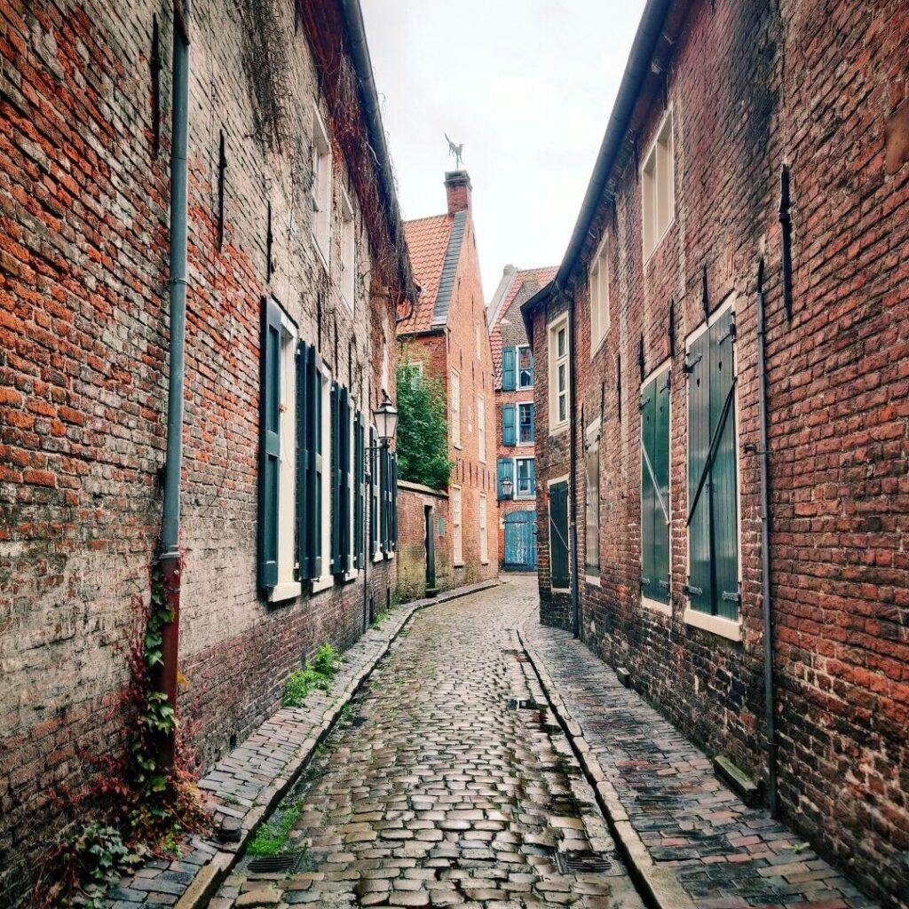 Eine schmale, gepflasterte Gasse mit historischen Backsteinhäusern, grünen Fensterläden und einer sanften Kurve, die von einer bewachsenen Wand und einer Laterne gesäumt wird, unter einem bewölkten Himmel.