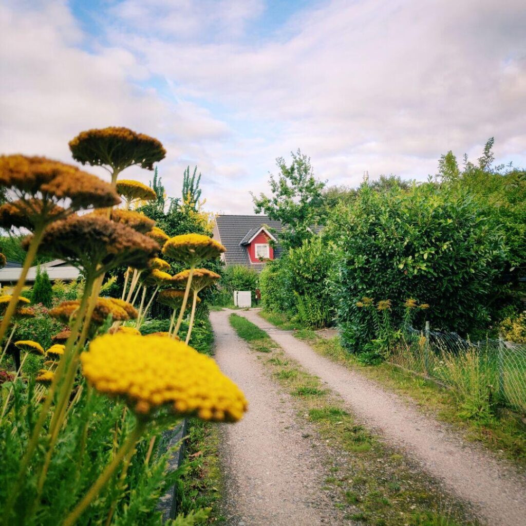 Foto vom 19. August 2021