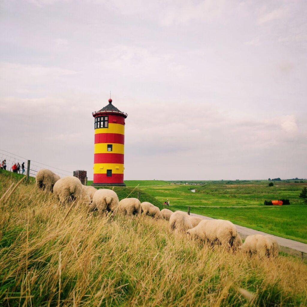Foto vom 22. August 2021