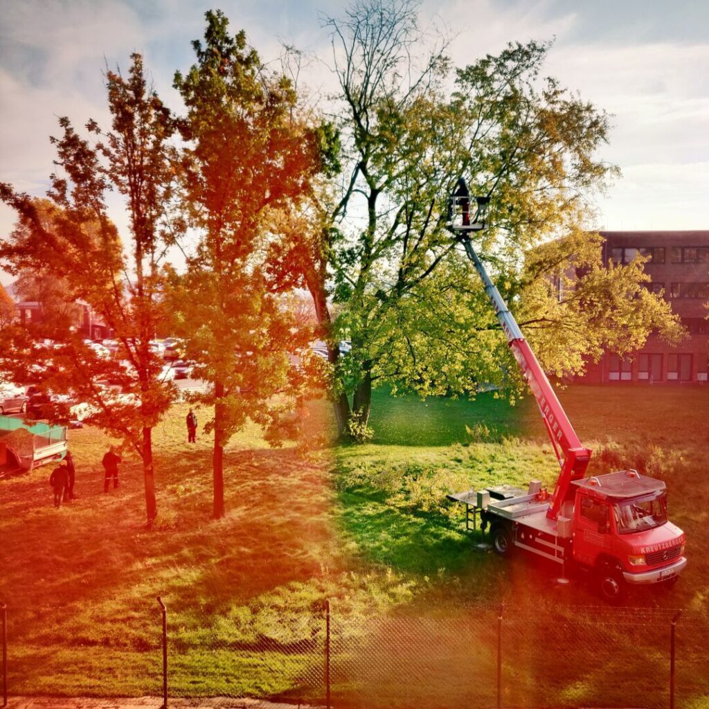 Foto vom 25. Oktober 2021