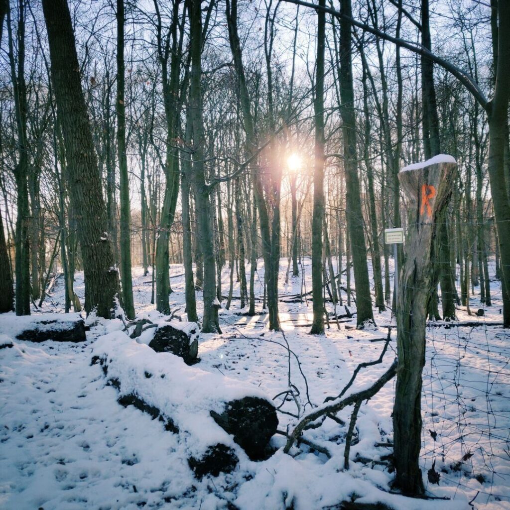 Foto vom 26. Dezember 2021