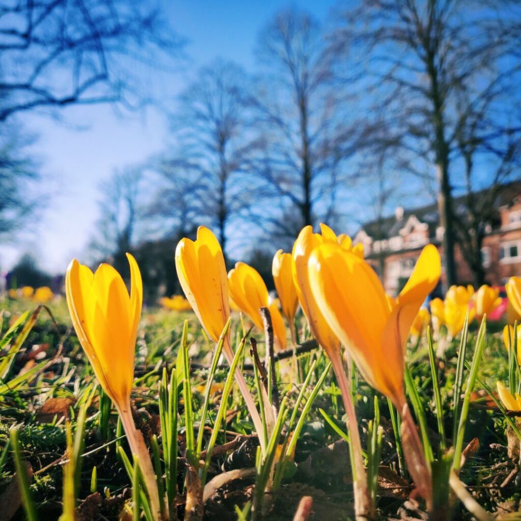 Foto vom 27. Februar 2022