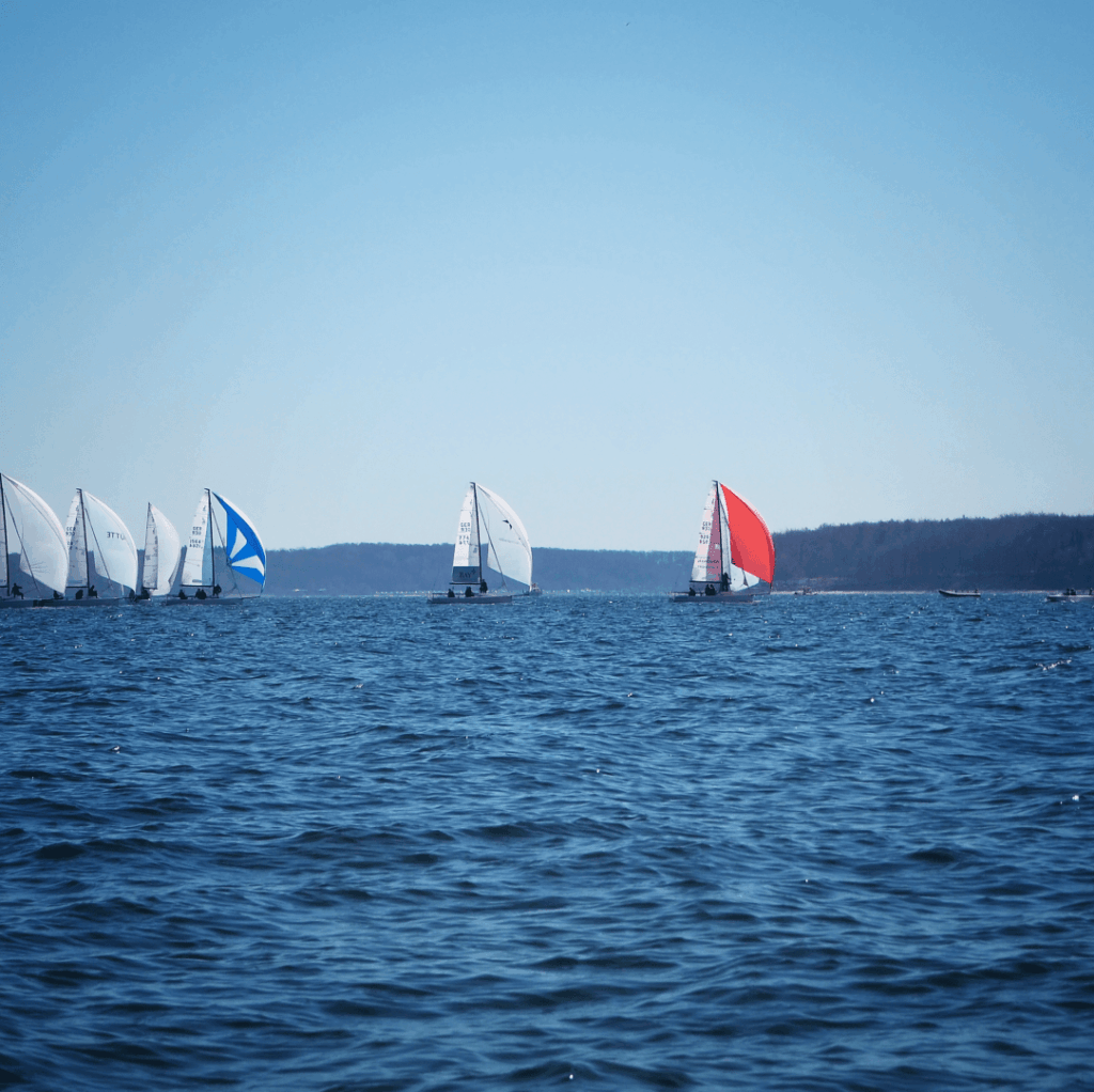 Mehrere Segelboote mit weißen und bunten Segeln gleiten über das glitzernde Wasser an einem klaren, sonnigen Tag, während im Hintergrund eine bewaldete Küstenlinie zu sehen ist.