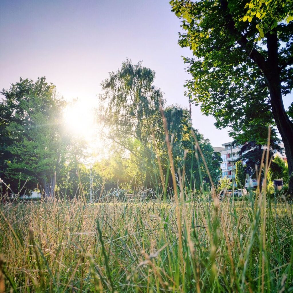 Foto vom 13. Juli 2022