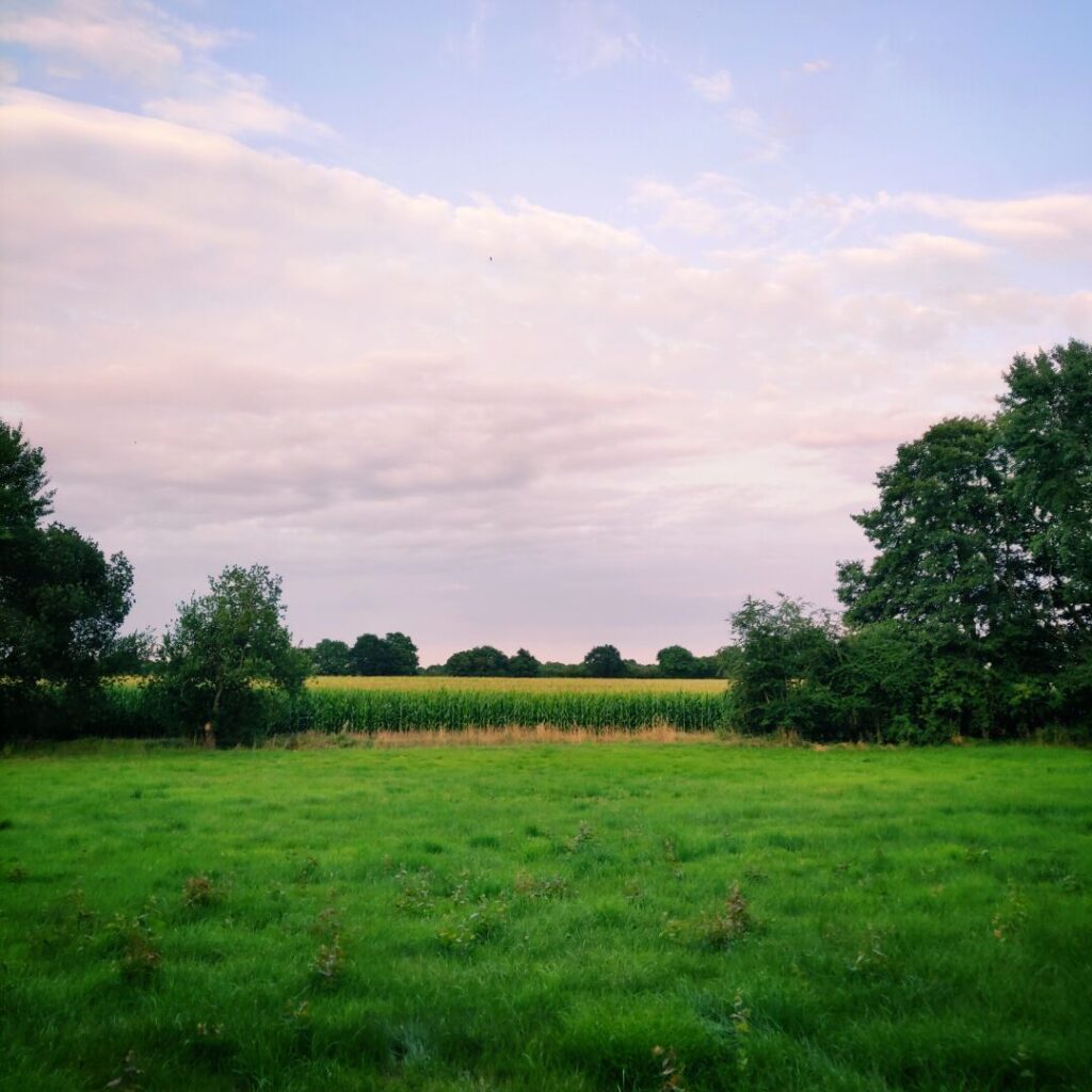 Foto vom 31. Juli 2022