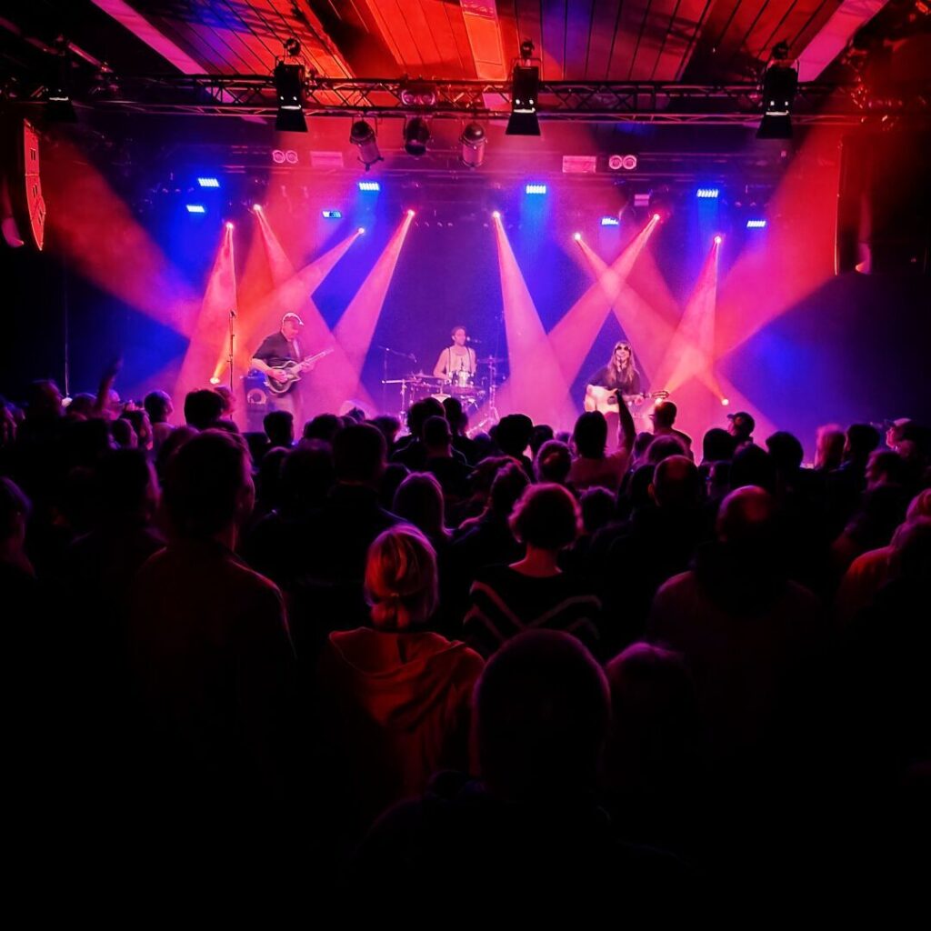 Eine lebhafte Konzertszene mit einer Band auf der Bühne, umgeben von einem begeisterten Publikum, während farbige Lichter die Atmosphäre erhellen.