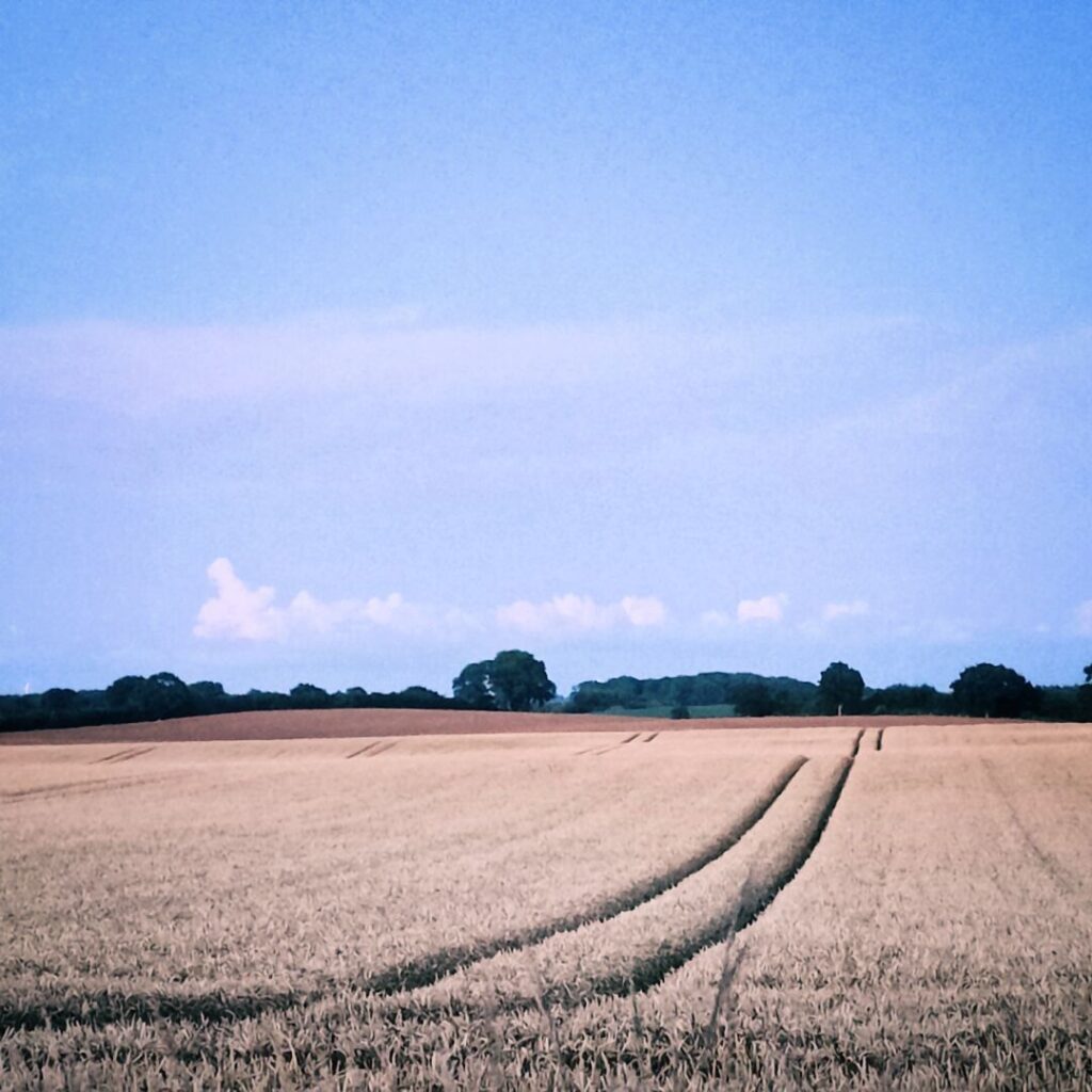 Foto vom 21. Juli 2023