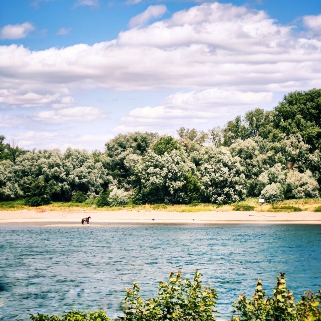 Foto vom 5. Juli 2023