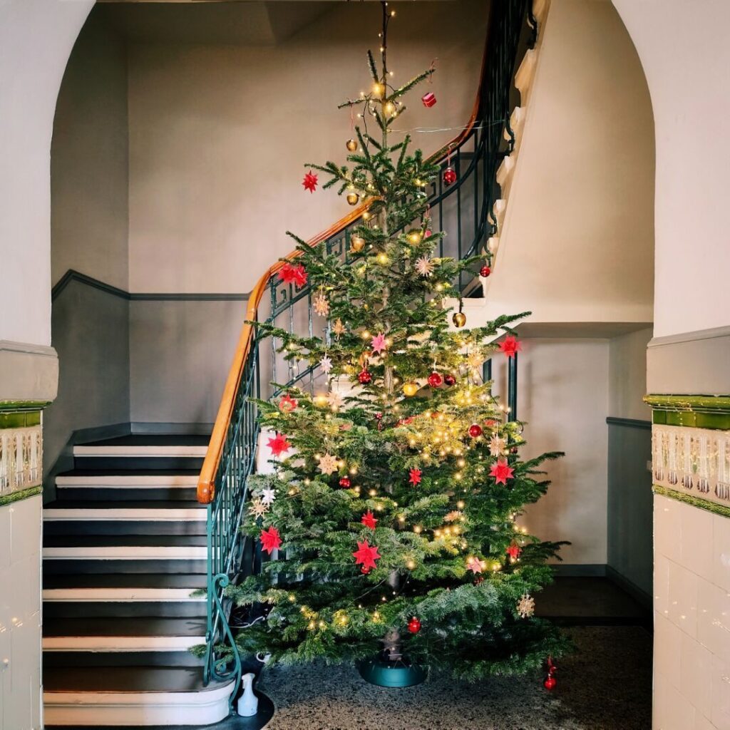 Foto vom 15. Dezember 2023
