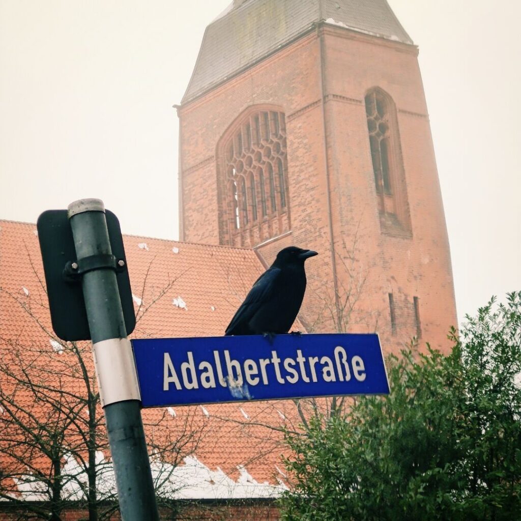 Foto vom 9. Dezember 2023