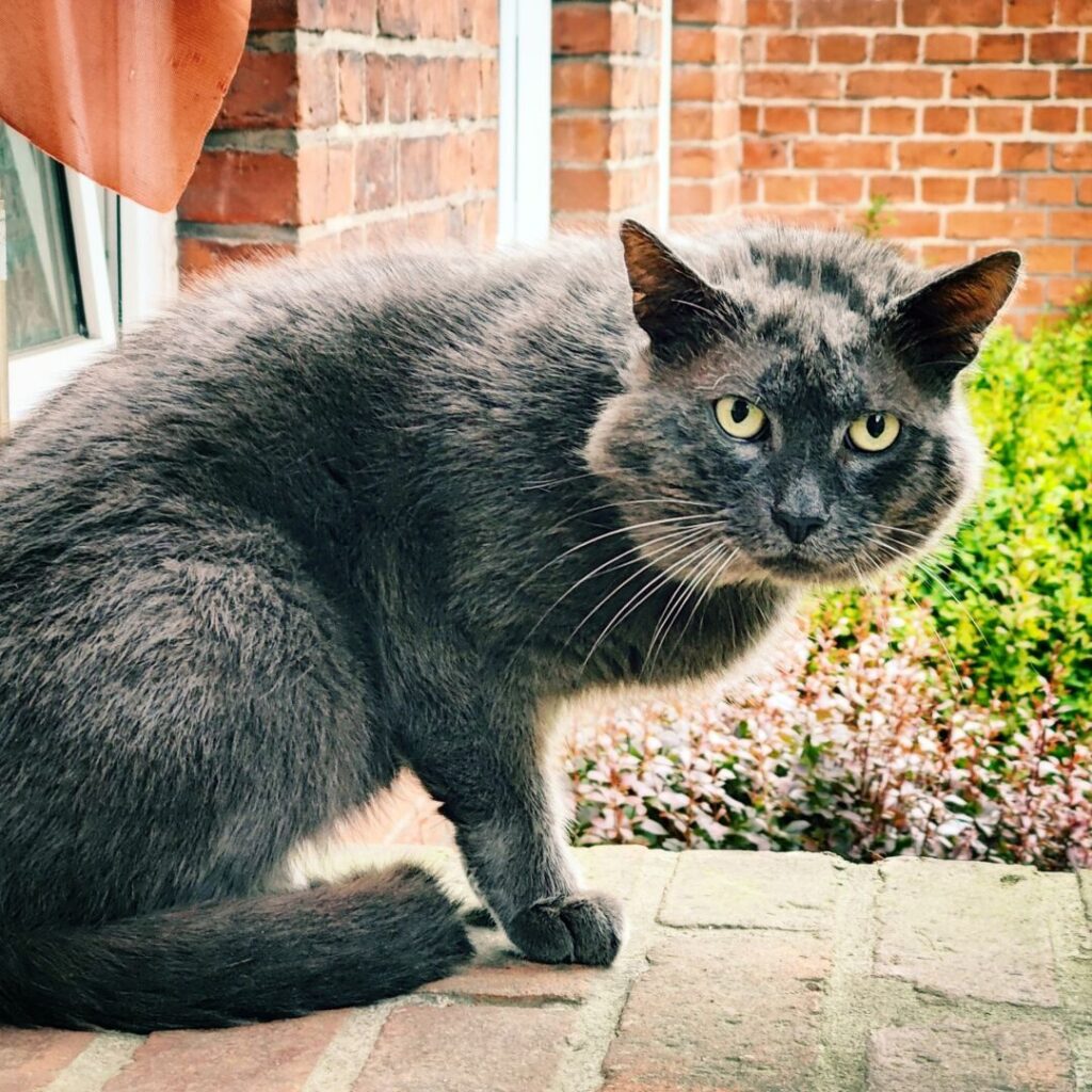 Foto vom 4. Mai 2024