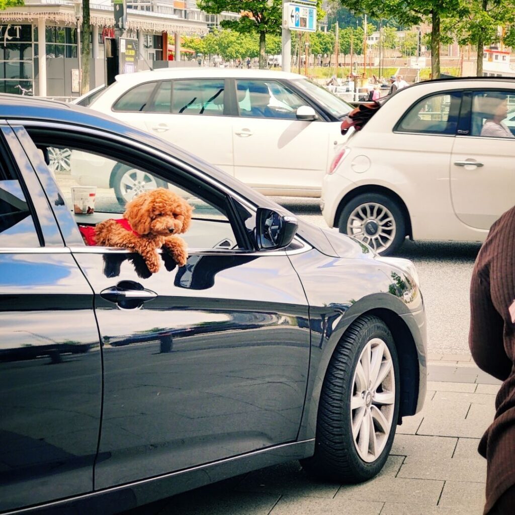 Foto vom 31. Mai 2024