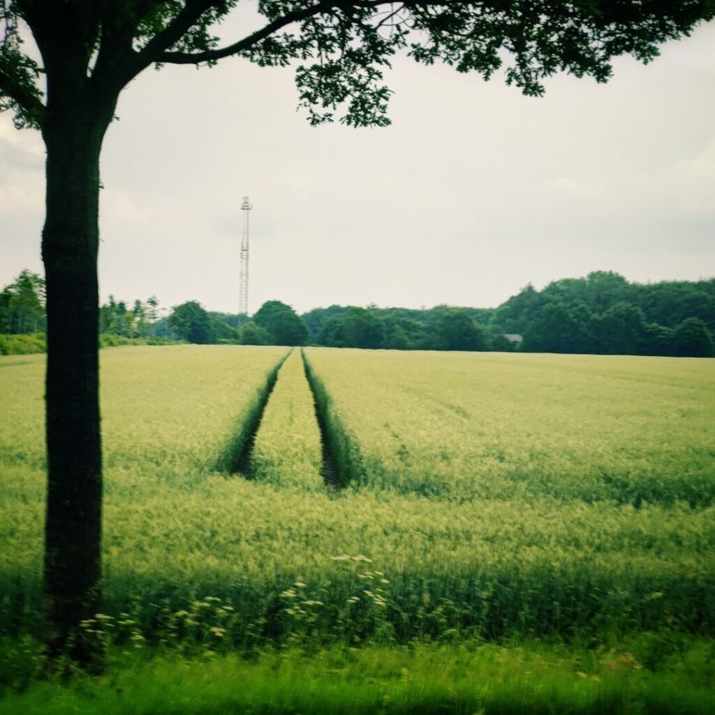 Foto vom 31. Mai 2024