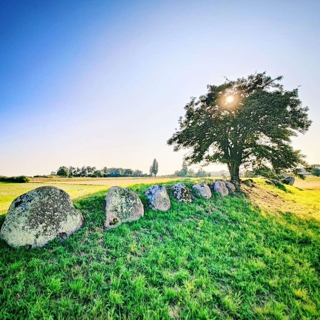 Eine sonnige Landschaft mit einem Baum und einer Reihe von großen, moosbedeckten Steinen auf einer grünen Wiese unter einem klaren blauen Himmel.