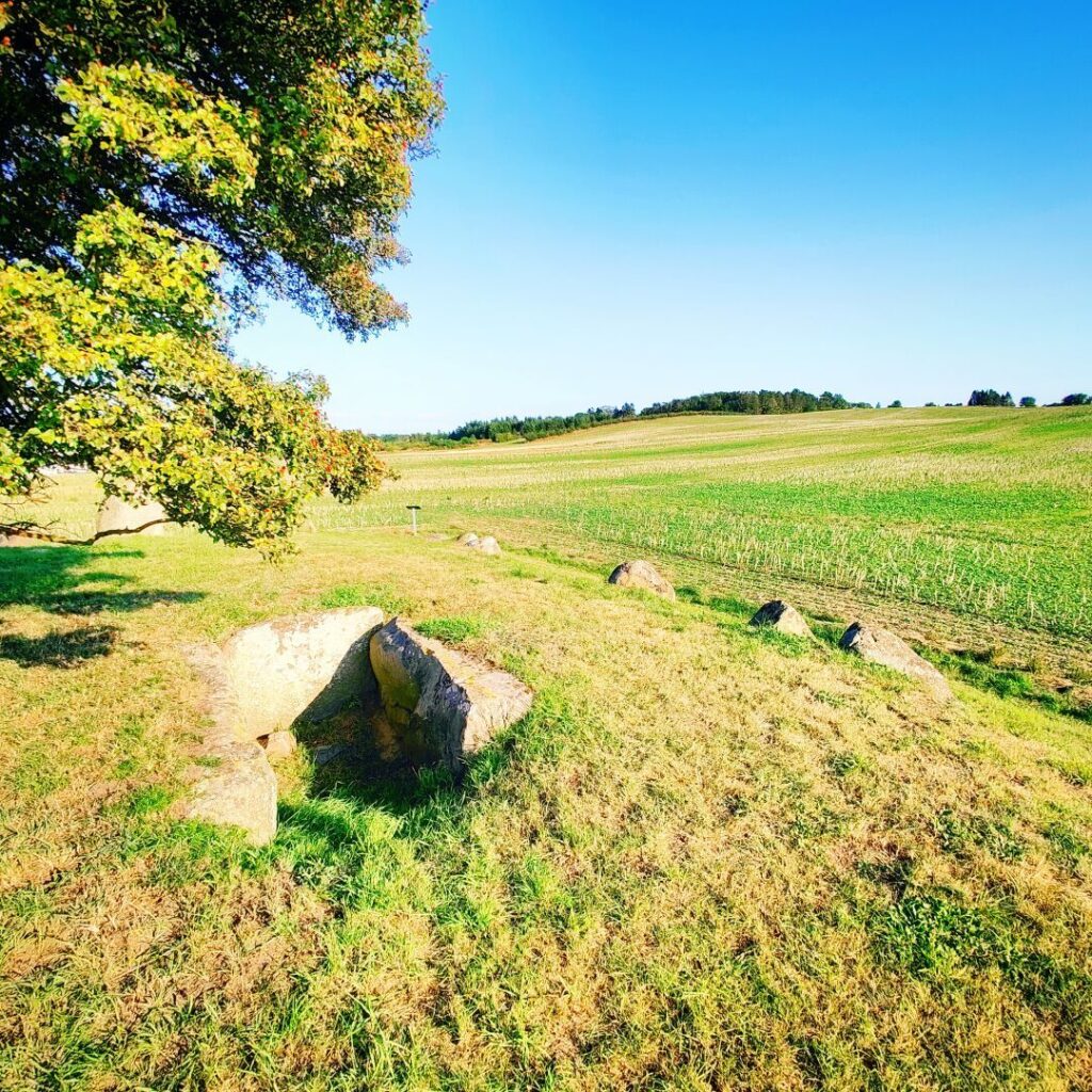 Eine weite, grüne Landschaft mit einem großen Baum im Vordergrund, umgeben von Steinen und sanften Hügeln unter einem klaren blauen Himmel.