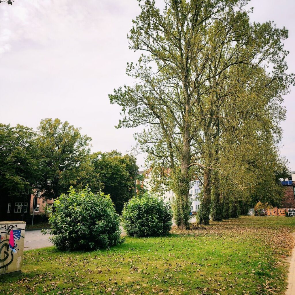Foto vom 7. September 2024