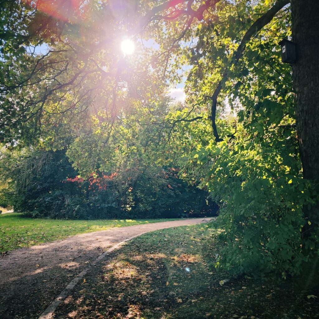 Foto vom 6. Oktober 2024
