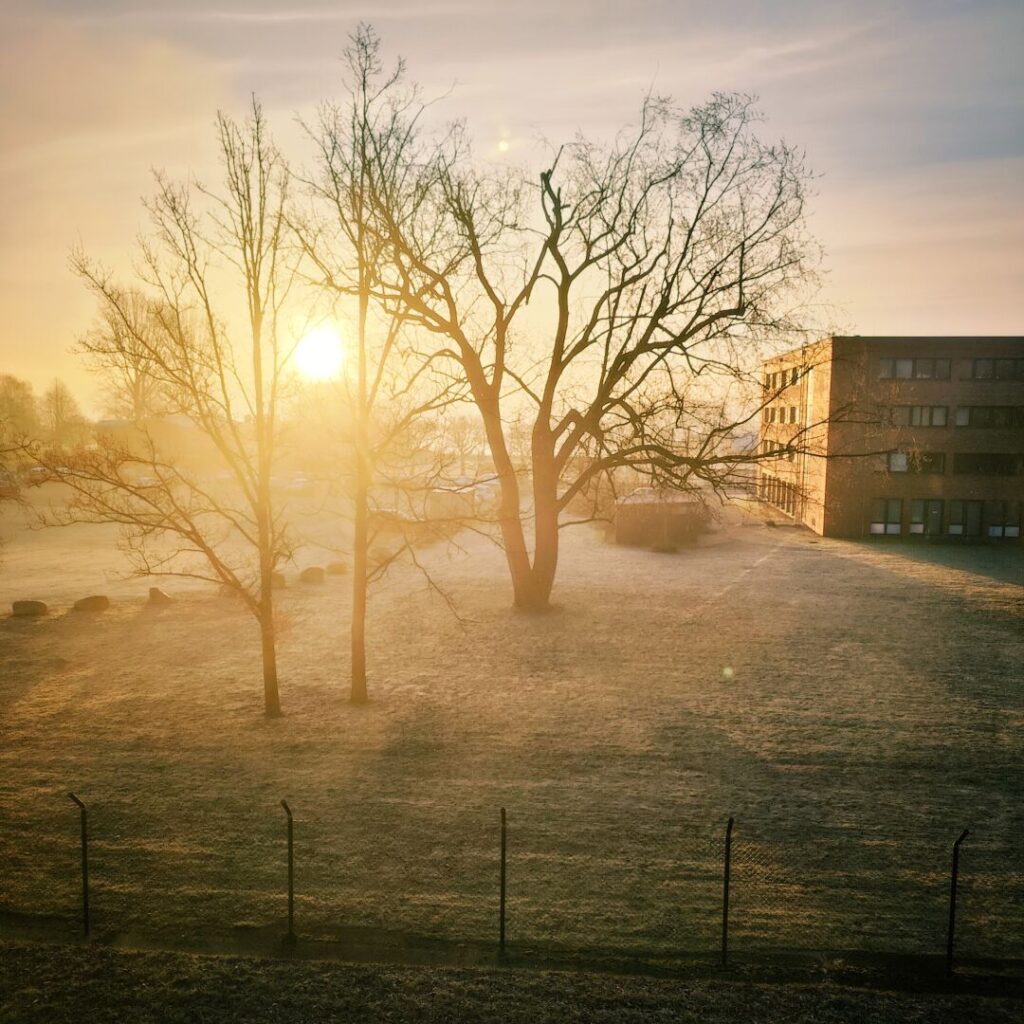 Foto vom 16. März 2025