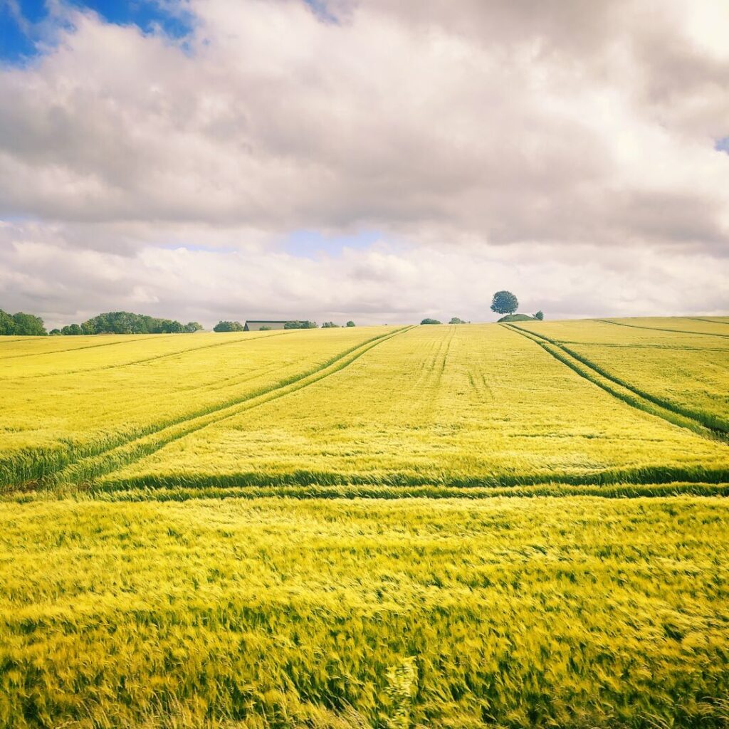 Foto vom 30. Mai 2025
