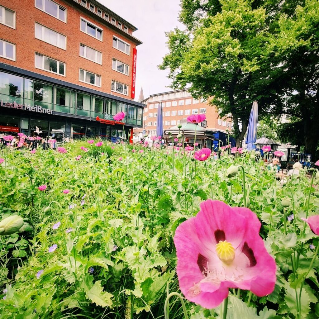 Foto vom 18. Juni 2025