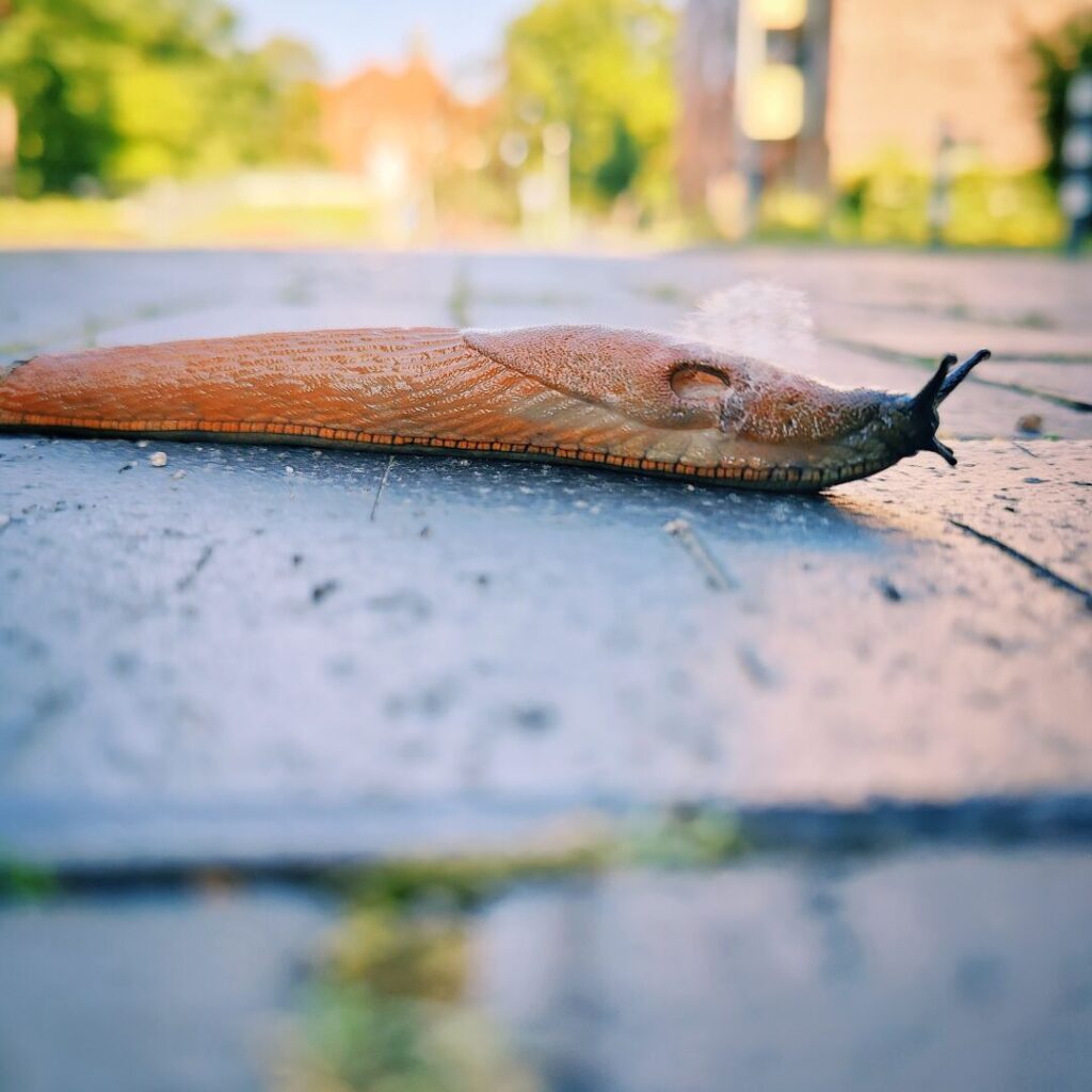 Foto vom 20. Juli 2025