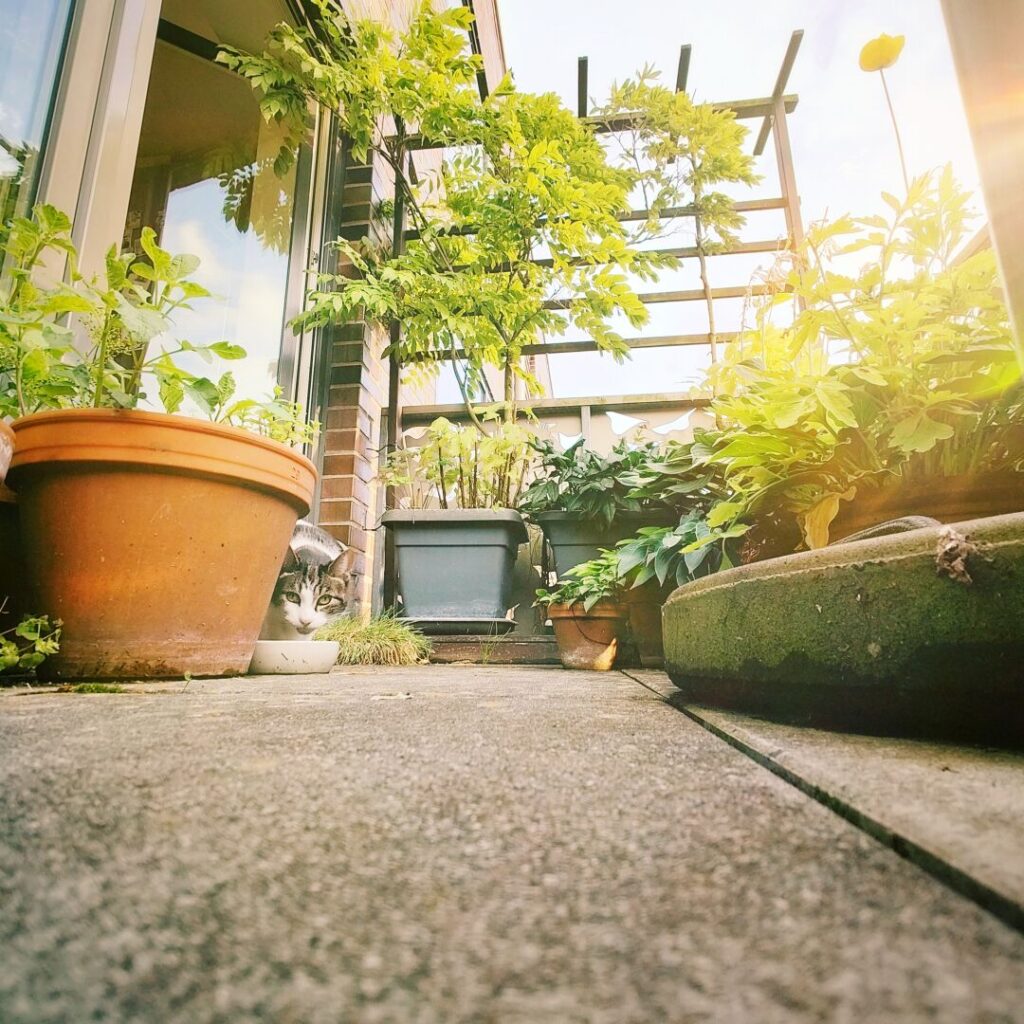 Foto vom 8. August 2025