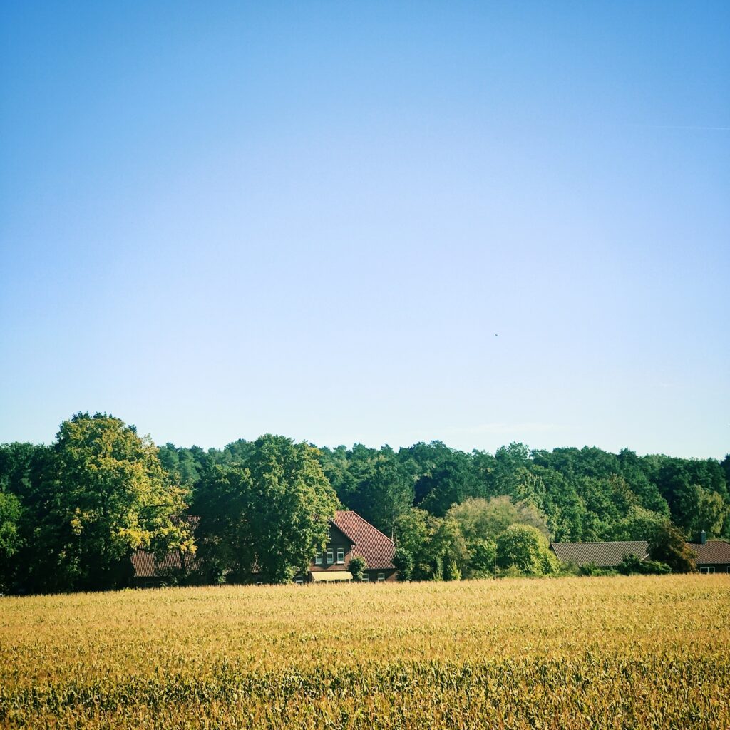 Foto vom 24. September 2025