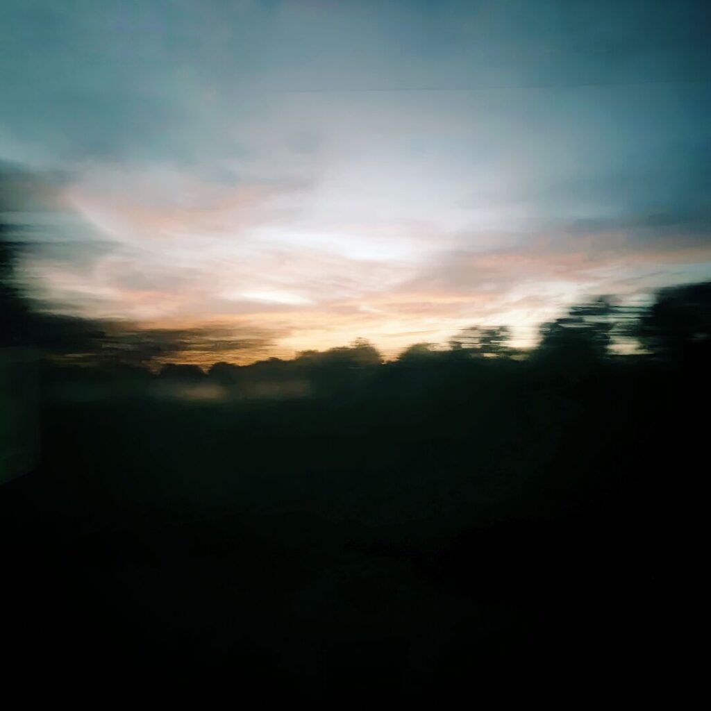 Ein verschwommener Sonnenuntergang mit sanften Farbtönen von Blau, Rosa und Orange, umgeben von dunklen Silhouetten von Bäumen, vermittelt eine stimmungsvolle Atmosphäre.