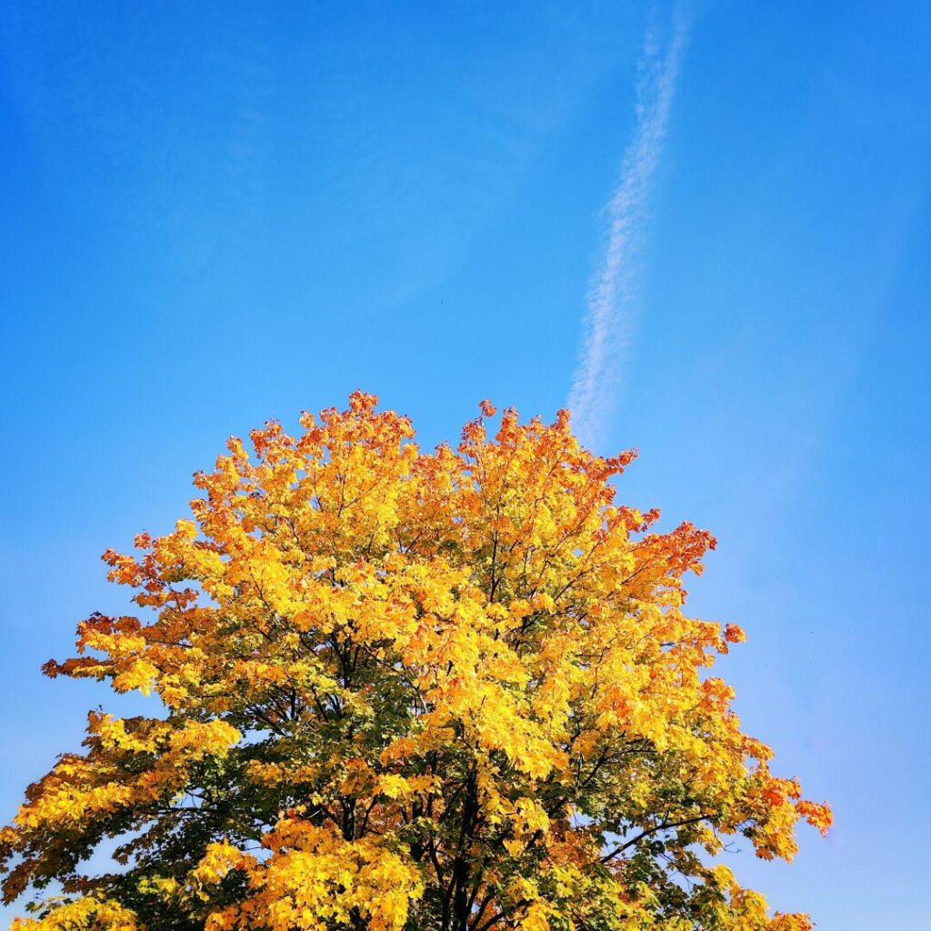 Foto vom 13. Oktober 2025