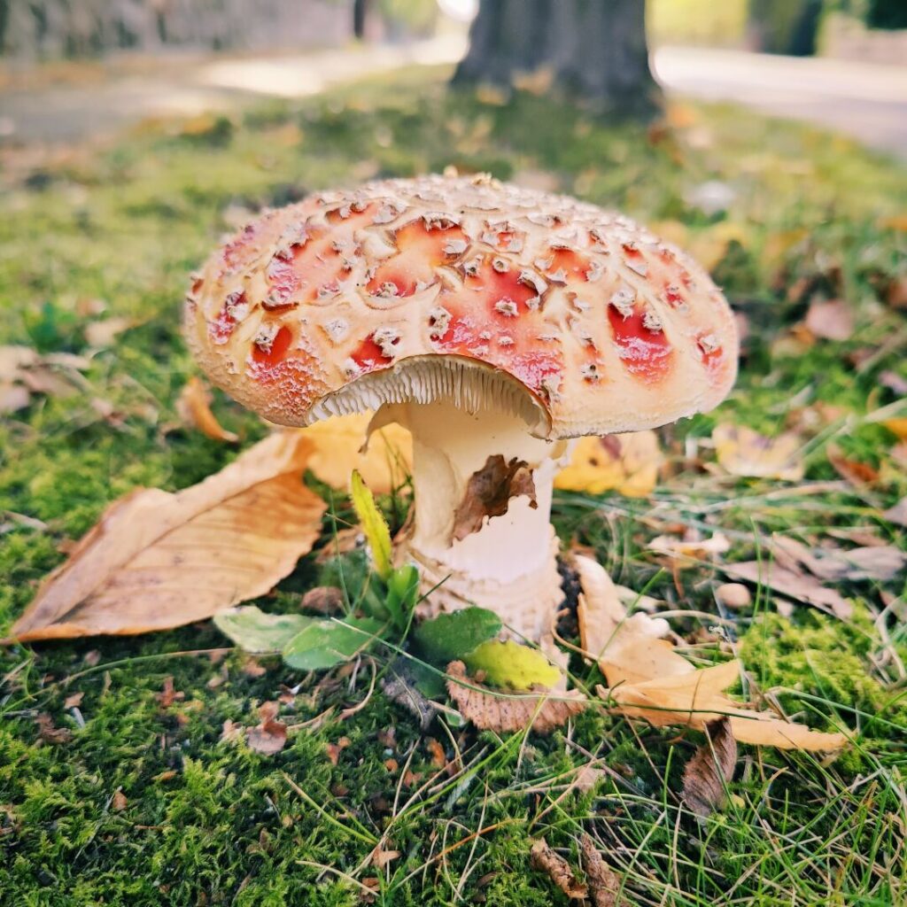 Foto vom 1. Oktober 2025