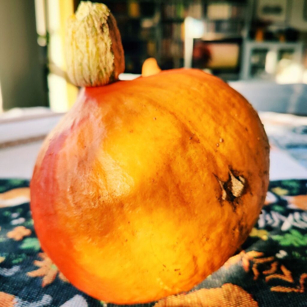 Foto vom 2. Oktober 2025