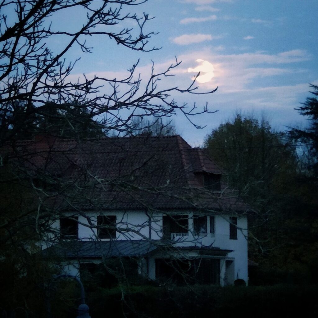 Foto vom 5. November 2025