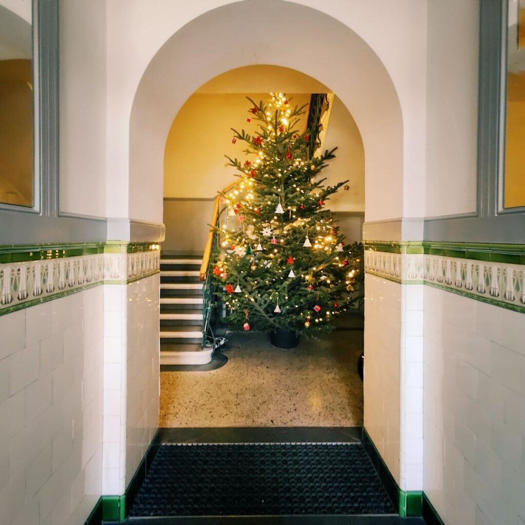 Foto vom 15. Dezember 2025