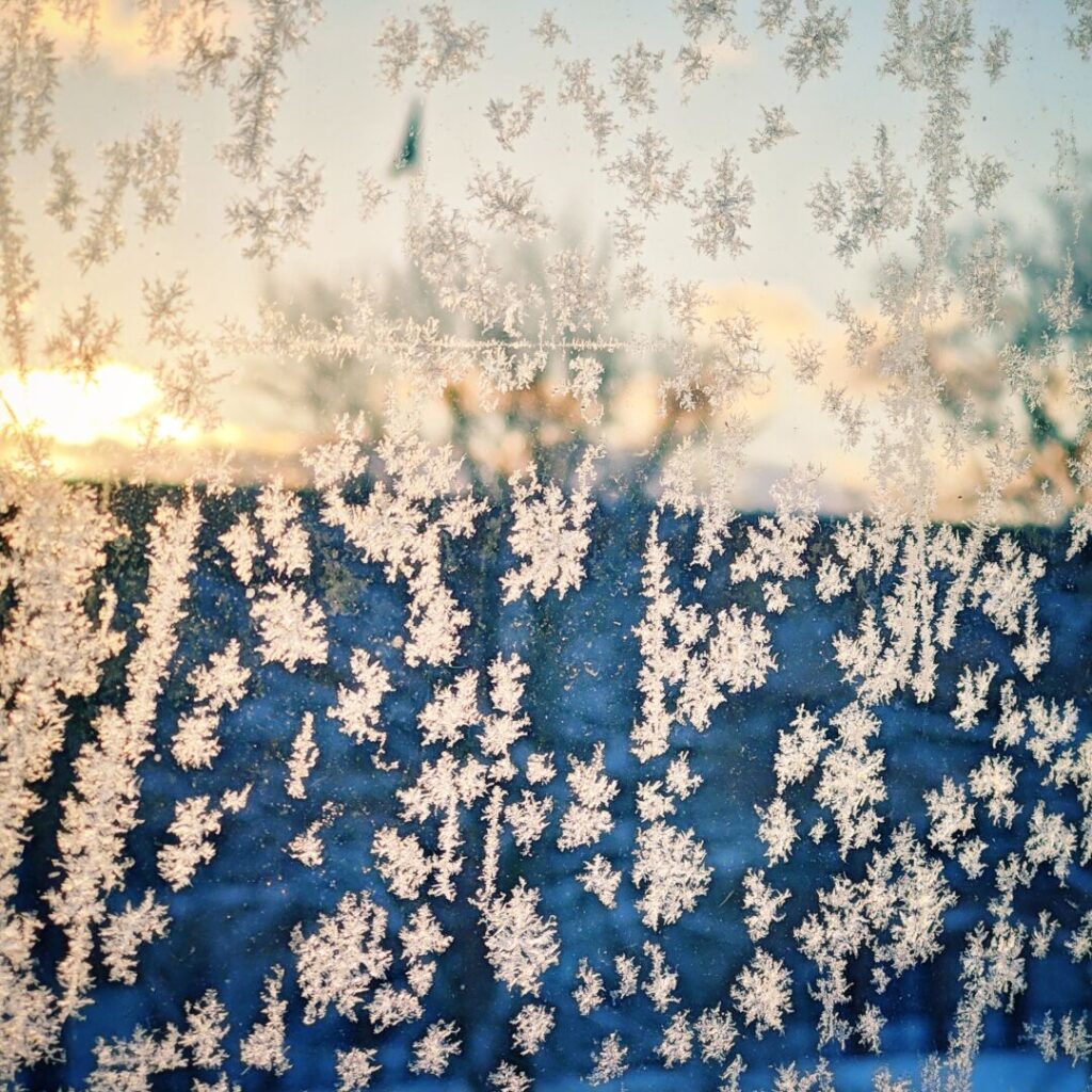 Foto vom 4. Januar 2026