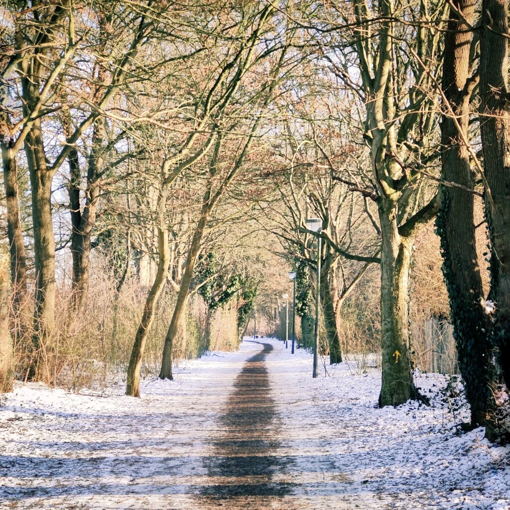 Foto vom 11. Januar 2026