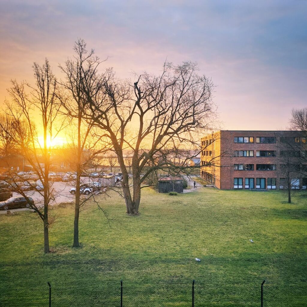 Foto vom 17. März 2026