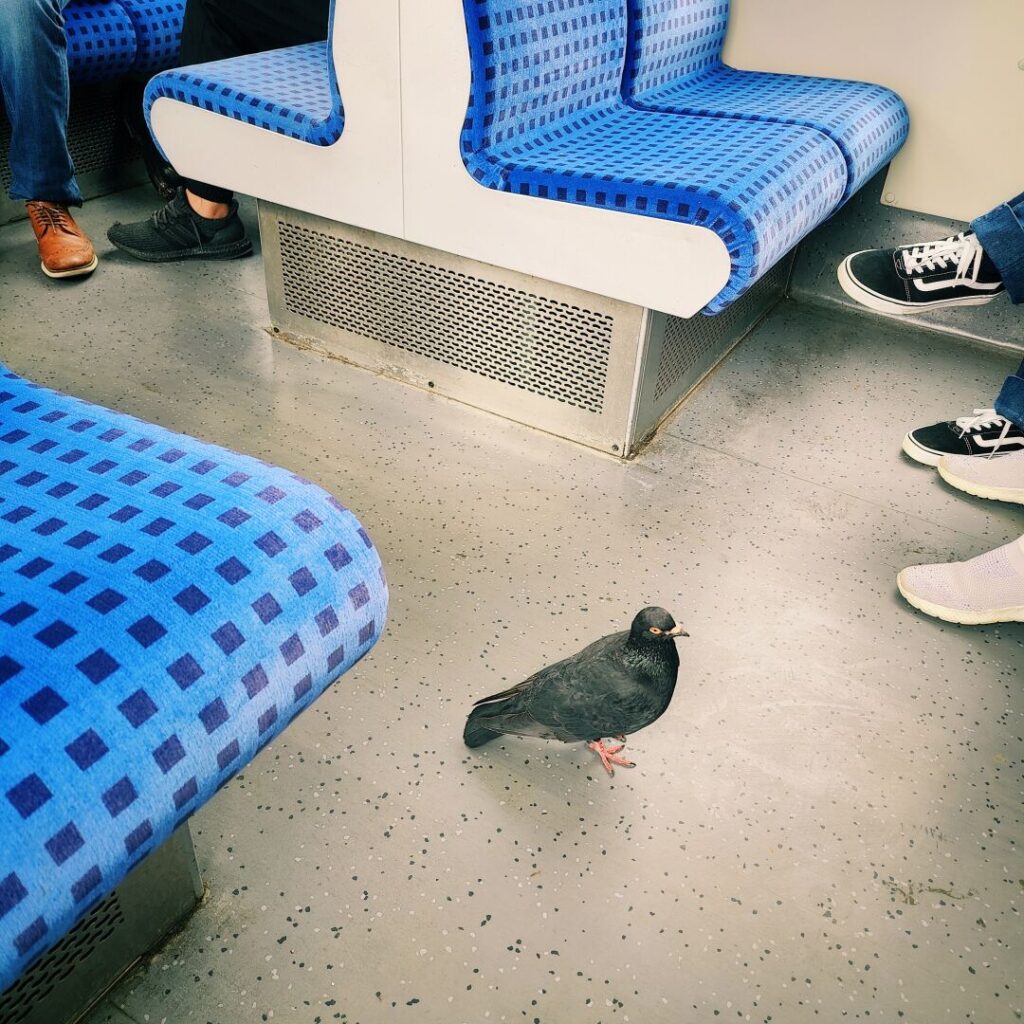 Foto vom 17. Mai 2026