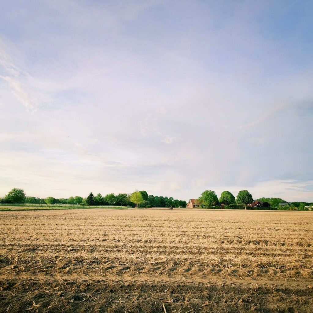 Foto vom 2. Mai 2026