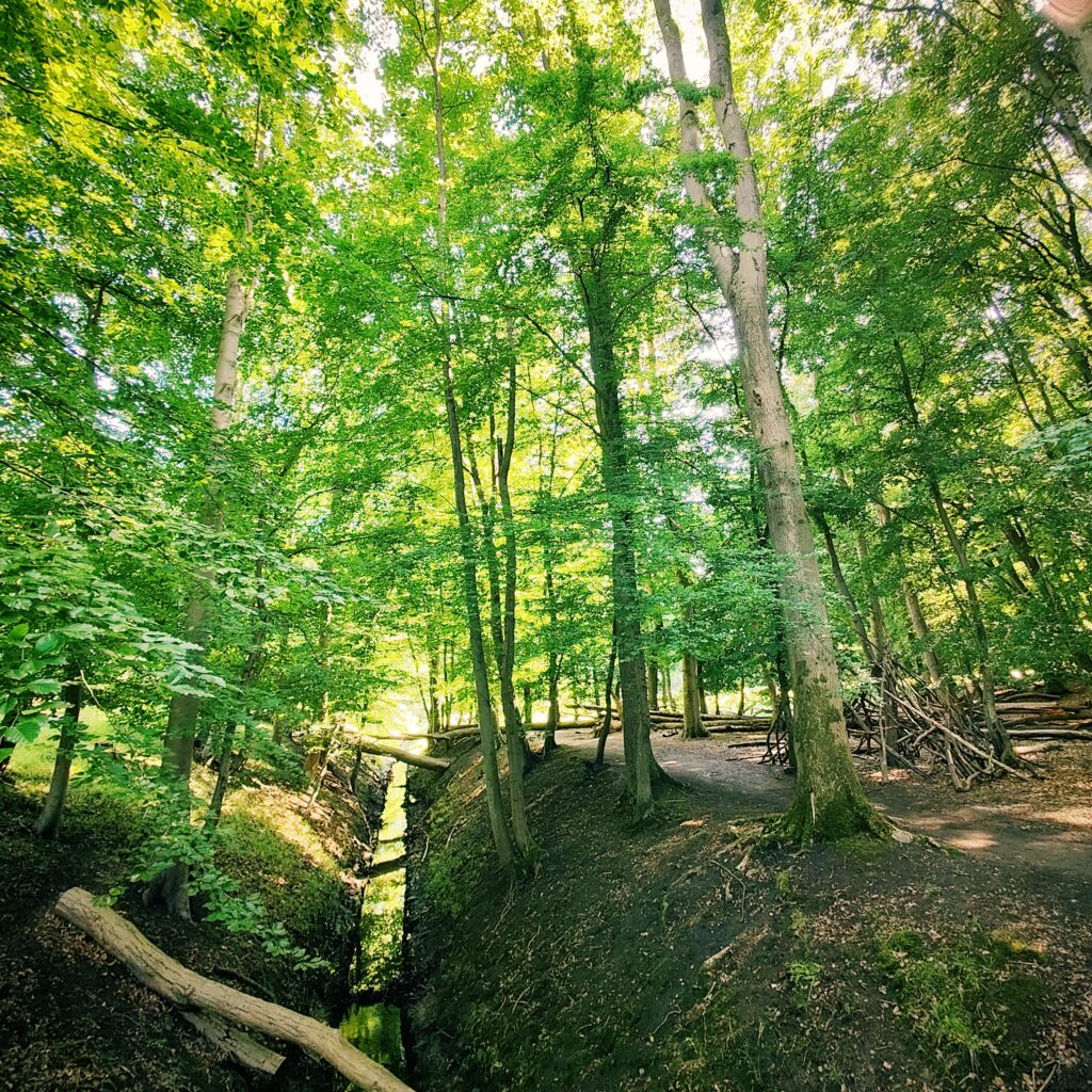 Foto vom 28. Juni 2026