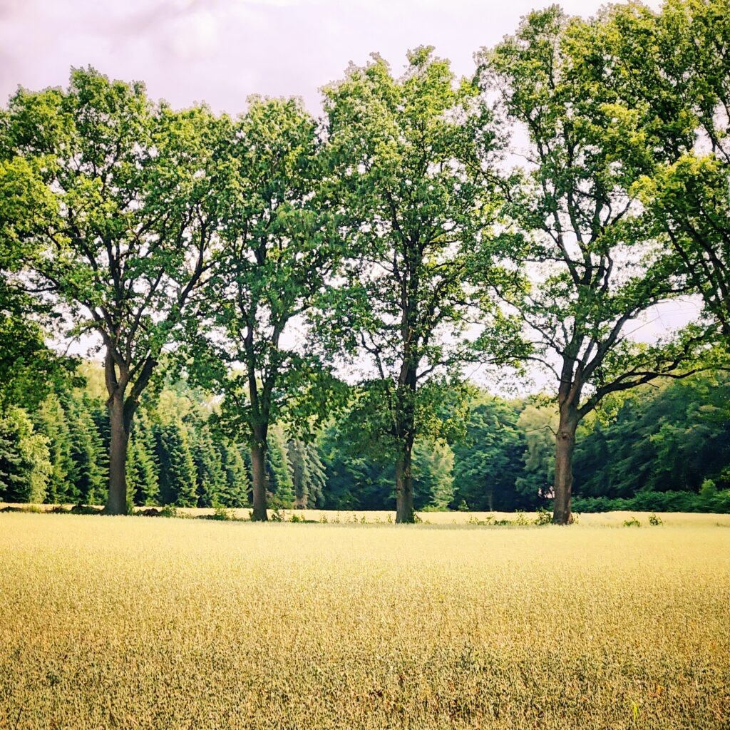 Foto vom 5. Juli 2026