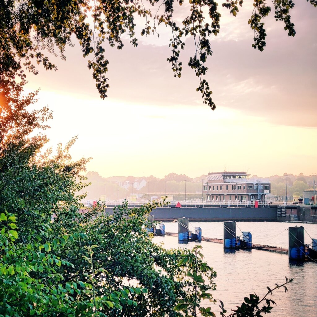 Eine malerische Flusslandschaft bei Sonnenuntergang, mit sanften Wellen, einem modernen Gebäude am Ufer und grünen Blättern im Vordergrund, die eine ruhige Atmosphäre schaffen.