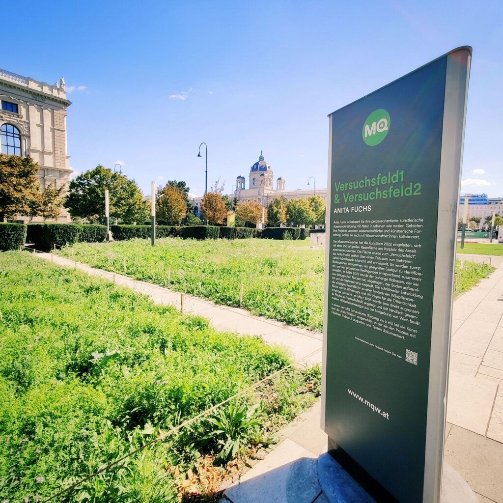 Eine grüne Wiese mit verschiedenen Pflanzen und einem Informationsschild über das Kunstprojekt "Versuchsfeld1 & Versuchsfeld2" von Anita Fuchs, im Hintergrund historische Gebäude und ein blauer Himmel.