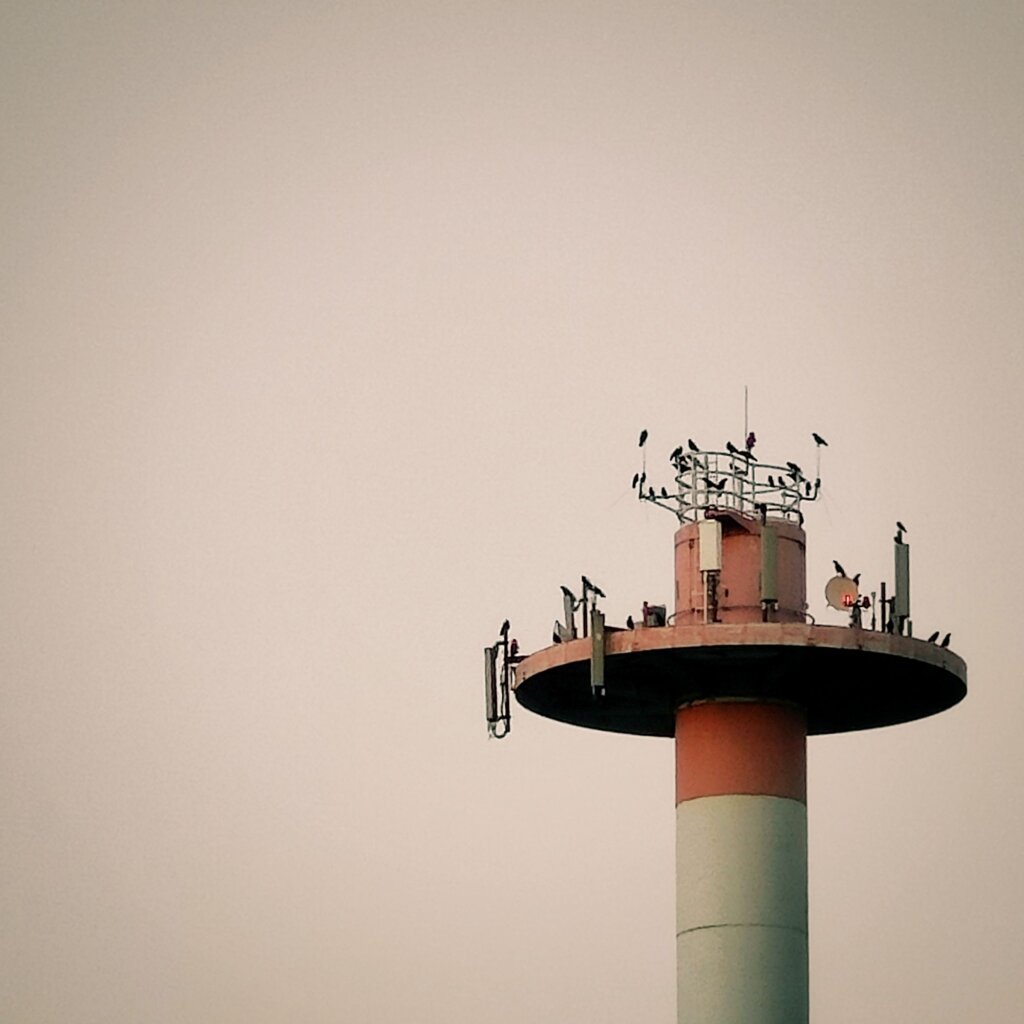 Ein hoher, zylindrischer Turm mit einer rot-weißen Farbgebung steht im Vordergrund. Auf der oberen Plattform des Turms sind zahlreiche Vögel versammelt, die in verschiedenen Positionen sitzen. Der Turm ist mit technischen Geräten ausgestattet, darunter Antennen und eine Satellitenschüssel. Der Himmel im Hintergrund ist sanft und einfarbig, was eine ruhige Atmosphäre schafft. Die Szene vermittelt einen Eindruck von urbaner Natur und der Koexistenz von Technologie und Tierwelt.