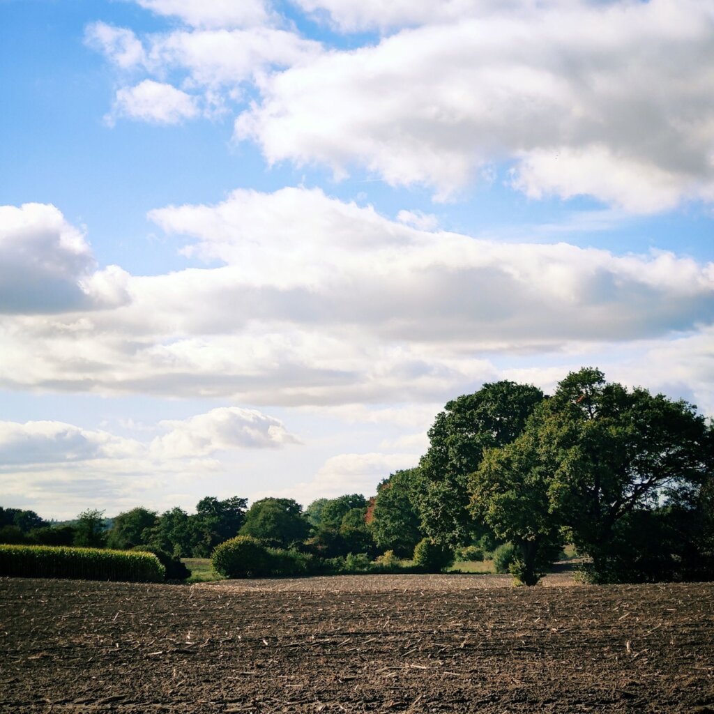 Eine weitläufige Landschaft mit einem braunen, frisch bearbeiteten Feld im Vordergrund. Im Hintergrund sind grüne Bäume und Sträucher zu sehen, die die Szenerie beleben. Der Himmel ist blau mit zahlreichen weißen, fluffigen Wolken, die sanft über die Landschaft ziehen. Die Atmosphäre wirkt friedlich und ländlich, ideal für Naturliebhaber und Fotografen. Die Lichtverhältnisse deuten auf einen sonnigen Tag hin, was die Farben der Natur lebendig erscheinen lässt.