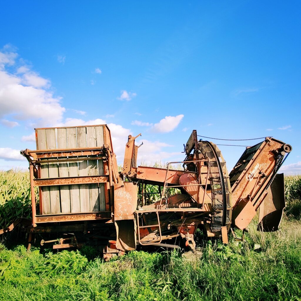 Eine alte, rostige Erntemaschine steht in einem Feld, umgeben von hohem Gras und Maispflanzen. Der Himmel ist klar und blau mit einigen weißen Wolken. Die Maschine zeigt deutliche Gebrauchsspuren und ist teilweise mit Graffiti beschriftet. Ihre mechanischen Teile sind sichtbar, darunter Förderbänder und eine große Walze. Die Szene vermittelt einen Eindruck von ländlicher Idylle und der Vergänglichkeit landwirtschaftlicher Geräte.