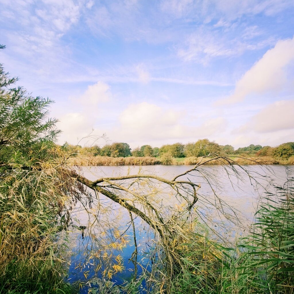 An der Eider